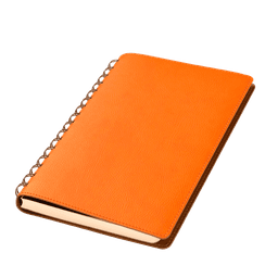 Ежедневник Виста (Vista) недатированный