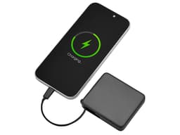 Внешний аккумулятор со встроенным кабелем USB-C «Дэнси»