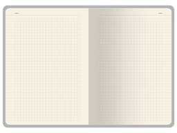 Бизнес-тетрадь А5 "Pragmatic Contrast"