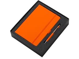 Подарочный набор Vision Pro soft-touch с ручкой и блокнотом А5
