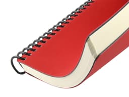 Ежедневник недатированный на спирали А5 "Agenda", красный (Р)